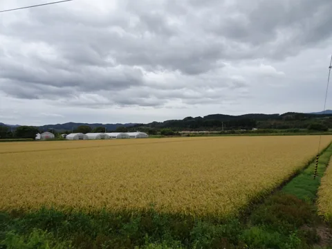 八雲から函館 6.0km地点