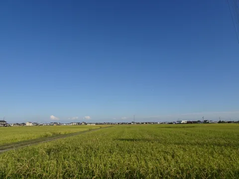 羽島・養老 26.0km地点