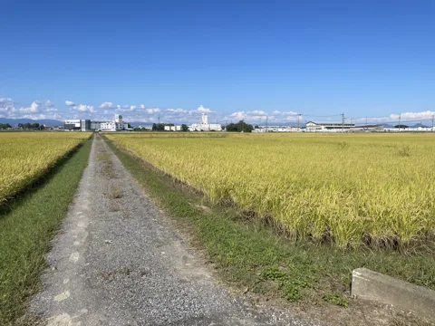 羽島・養老 8.0km地点
