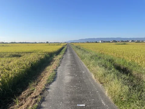 岐阜羽島から桑名・熱田 羽島市堀津町