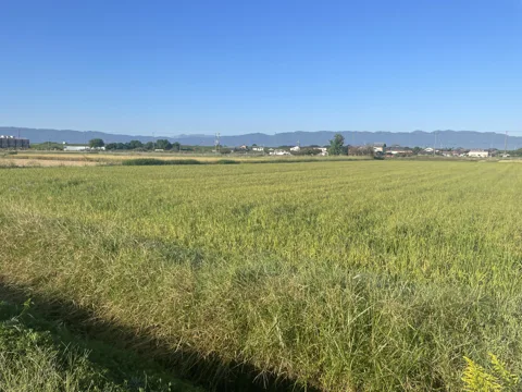 岐阜羽島から桑名・熱田 4.0km地点