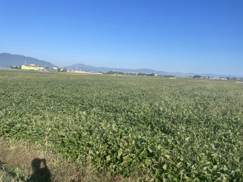 岐阜羽島から桑名・熱田 11.0km地点