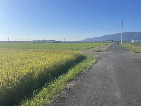 岐阜羽島から桑名・熱田 海津市平田町高田
