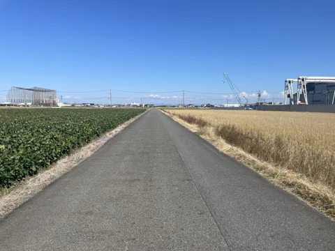 岐阜羽島から桑名・熱田 弥富市狐地