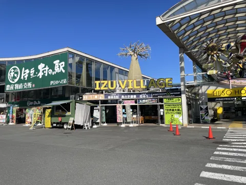 岩波から修善寺 伊豆の国市三福