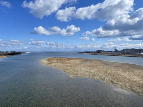 徳島から阿南・川之江 阿南市那賀川町中島