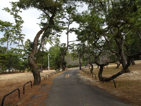 川之江から坂出 観音寺市室本町