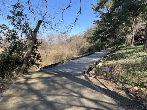 北鴻巣から足利 館林市松沼町