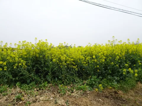 前橋から赤城 前橋市嶺町