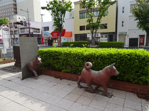 大熊町からいわき 大野駅