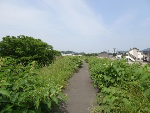 相馬から鳥の海 52.0km地点
