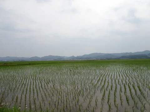 相馬から鳥の海 亘理町逢隈榎袋
