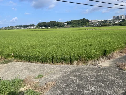 諫早からハウステンボス 11.0km地点