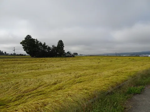 会津美里町から会津若松 会津若松市北会津町石原
