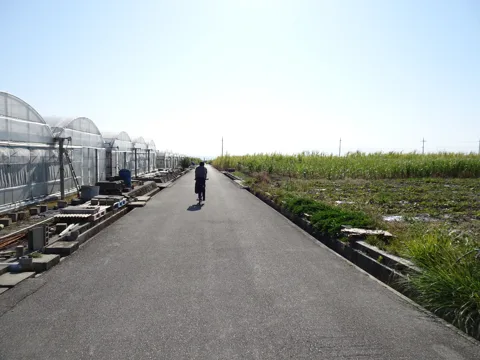 沖縄南部周回 56.0km地点