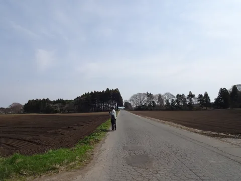 六ケ所村 三沢市高野沢