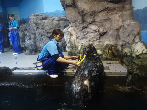 野辺地から浅虫温泉 浅虫水族館