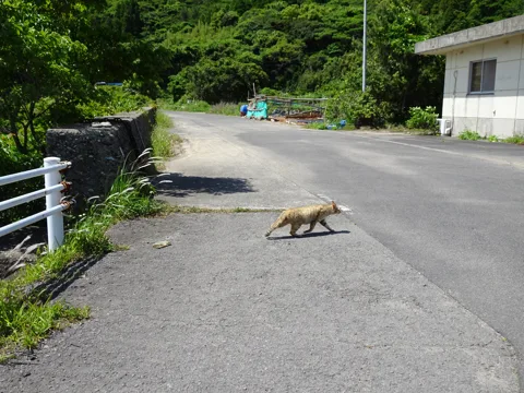 八代と甑島2 11.7km地点