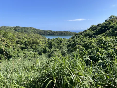 八代と甑島3 9.0km地点
