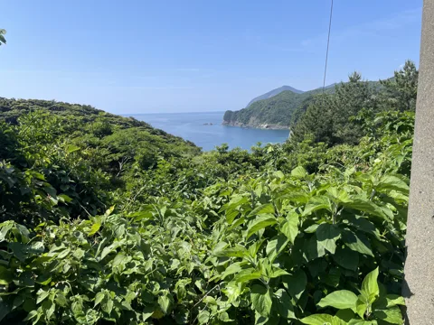 八代と甑島4 22.0km地点