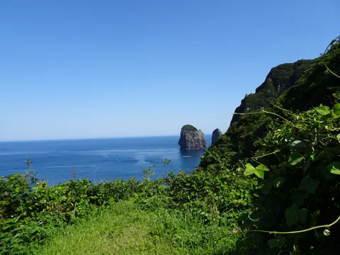 八代と甑島5 前の平展望所・ナポレオン岩