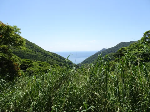 八代と甑島5 20.0km地点