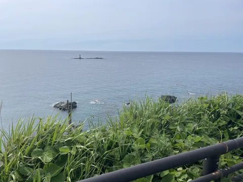 鶴岡1 8.0km地点