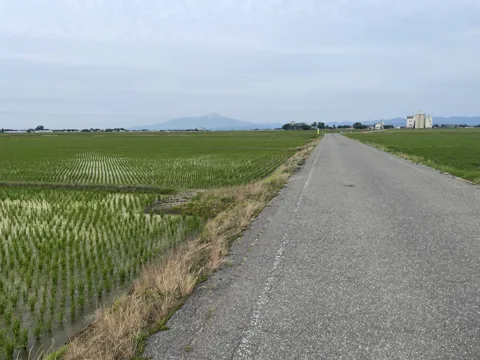 鶴岡1 鶴岡市中野京田