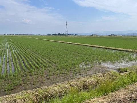 鶴岡2 鶴岡市平足