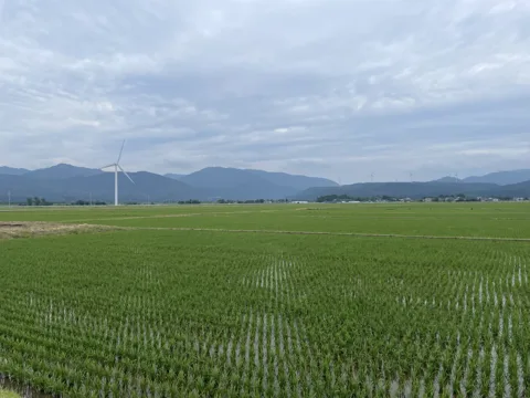鶴岡2 20.0km地点